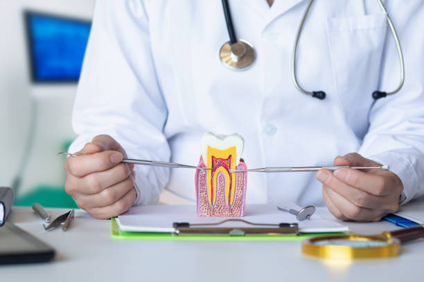 Best Dental Abscess Treatment in North Caldwell, NJ